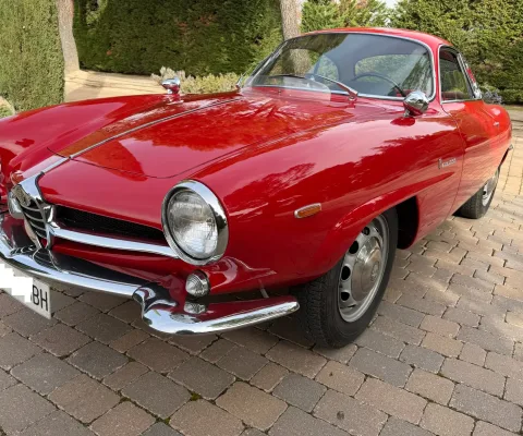 Alfa Romeo – Giulia SS – 1964